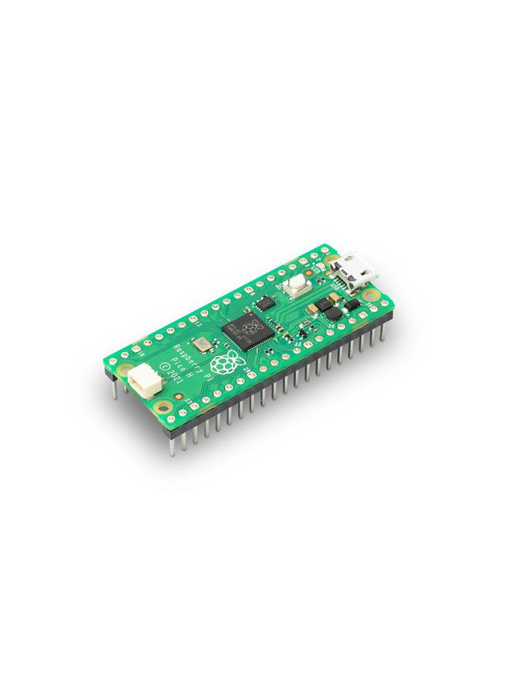 Raspberry Pi Pico H - Raspberry