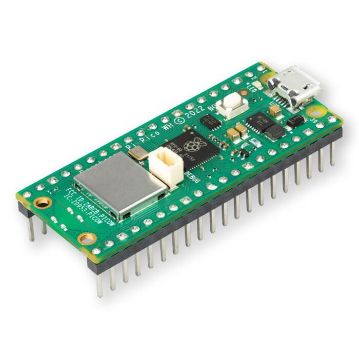 Raspberry Pi Pico W - Raspberry