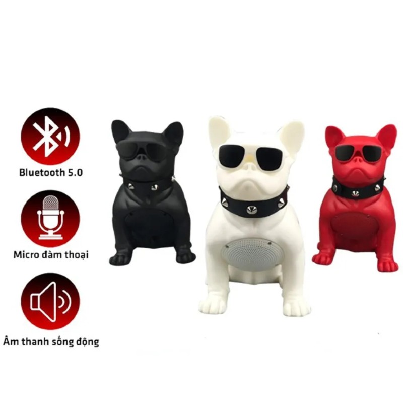 WIRELESS SPEAKER WITH MICROPHONE - Sound